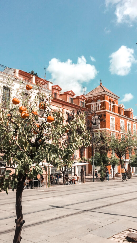 Centrum Sewillim Sewilla, miasto w Andaluzji, pomarańcze, jesień w Andaluzji, ulica 