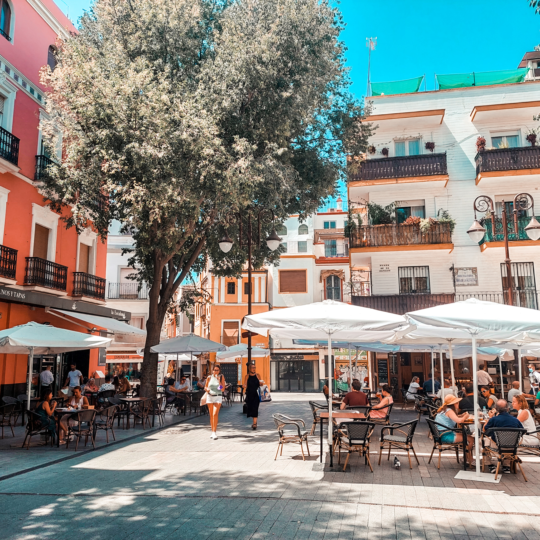 Plac Alfalfa, Sewilla, Hiszpania, Andaluzja, Place, restauracje, tapas bary